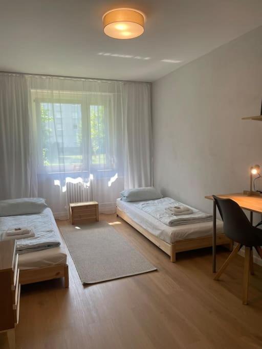 Apartment Messe